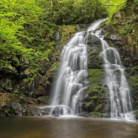 Apple Valley Hideaway, 1089 Of Free Attraction Tickets For Each Paid Day, Dollywood And More! Пиджен-Фордж Экстерьер фото