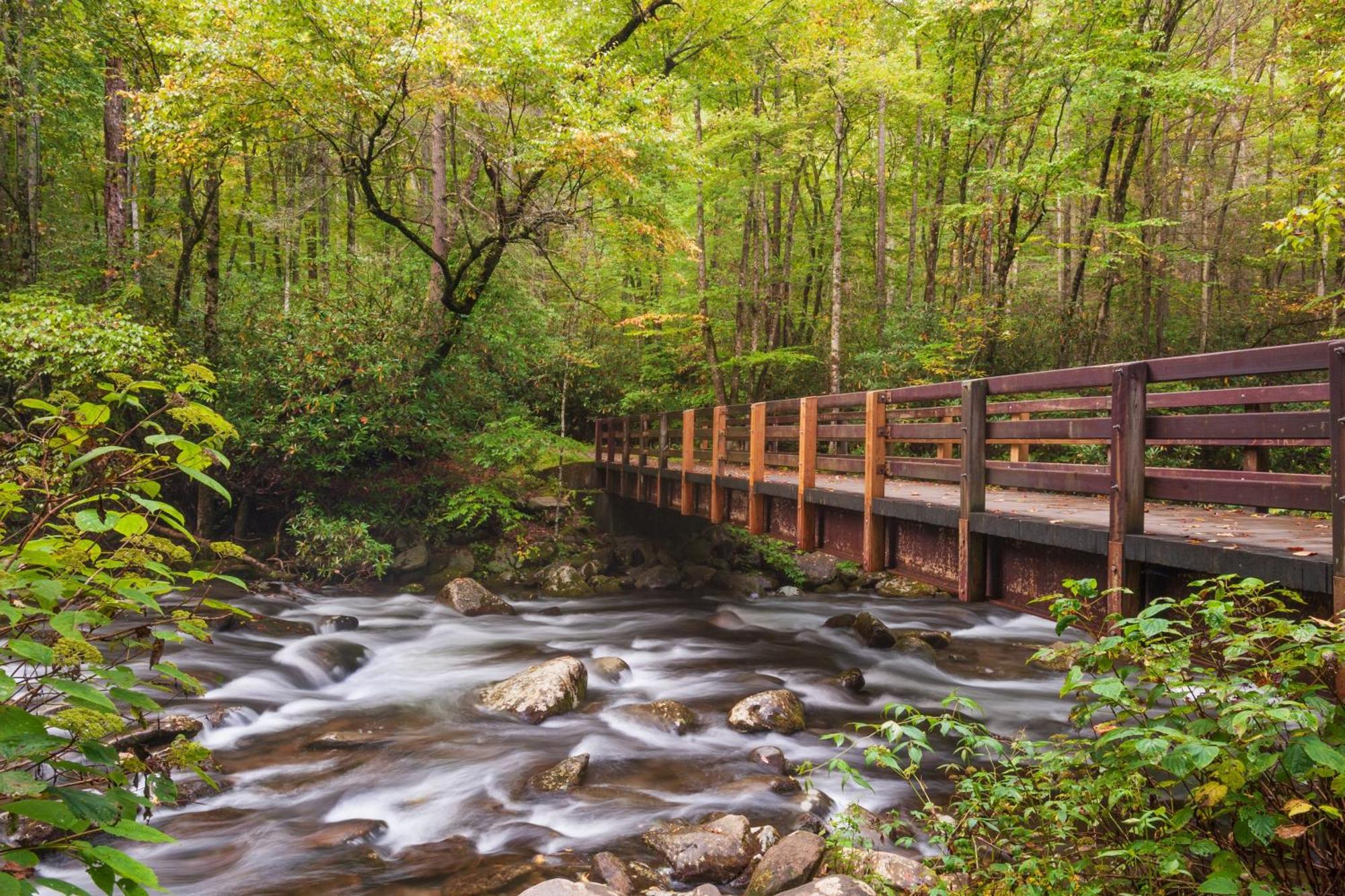 Apple Valley Hideaway, 1089 Of Free Attraction Tickets For Each Paid Day, Dollywood And More! Пиджен-Фордж Экстерьер фото
