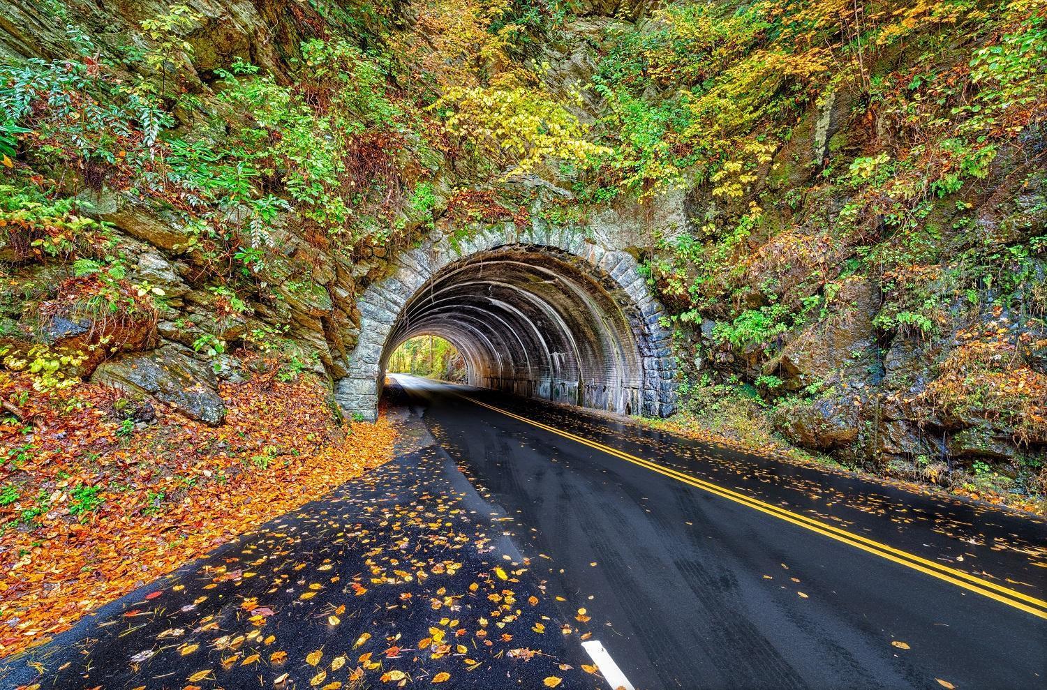 Apple Valley Hideaway, 1089 Of Free Attraction Tickets For Each Paid Day, Dollywood And More! Пиджен-Фордж Экстерьер фото