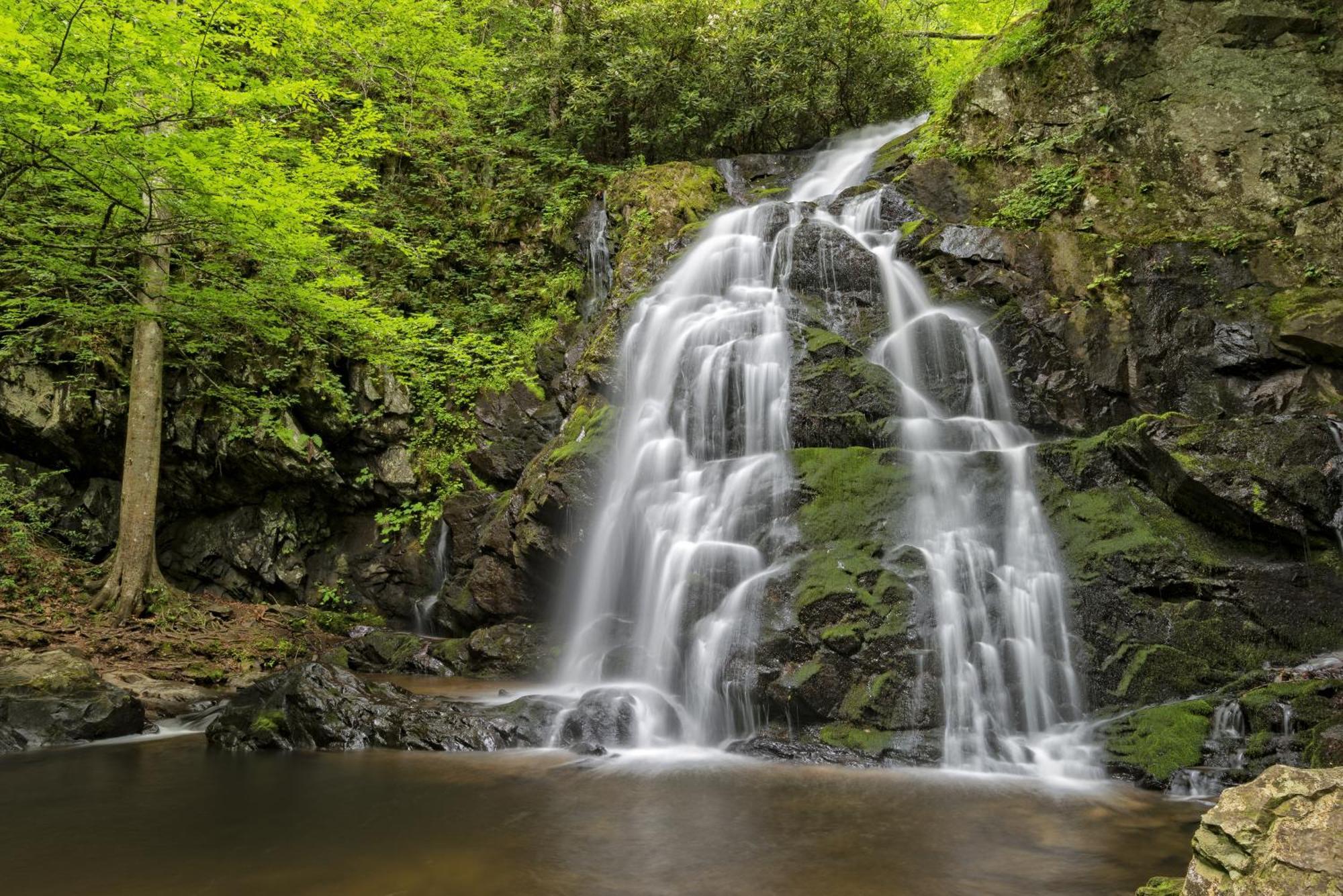 Apple Valley Hideaway, 1089 Of Free Attraction Tickets For Each Paid Day, Dollywood And More! Пиджен-Фордж Экстерьер фото